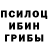 Псилоцибиновые грибы Psilocybe Dima Purici
