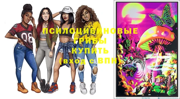 трава Абаза