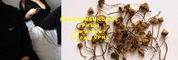 трава Абаза