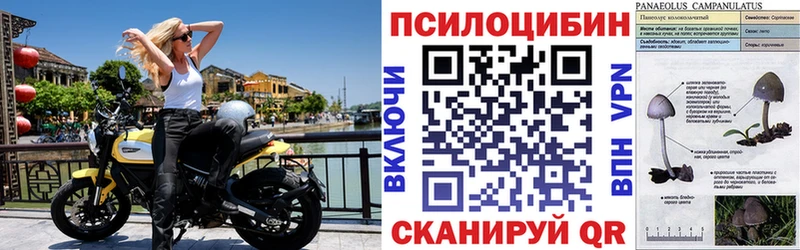 Галлюциногенные грибы ЛСД  купить наркотики цена  blacksprut зеркало  Касли 